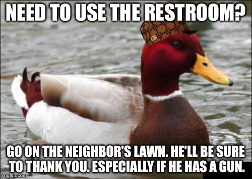 Malicious Advice Mallard Meme | NEED TO USE THE RESTROOM? GO ON THE NEIGHBOR'S LAWN. HE'LL BE SURE TO THANK YOU. ESPECIALLY IF HE HAS A GUN. | image tagged in memes,malicious advice mallard,scumbag | made w/ Imgflip meme maker