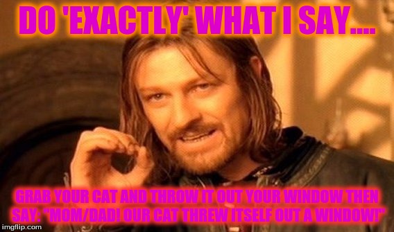One Does Not Simply Meme | DO 'EXACTLY' WHAT I SAY.... GRAB YOUR CAT AND THROW IT OUT YOUR WINDOW THEN SAY: "MOM/DAD! OUR CAT THREW ITSELF OUT A WINDOW!" | image tagged in memes,one does not simply | made w/ Imgflip meme maker