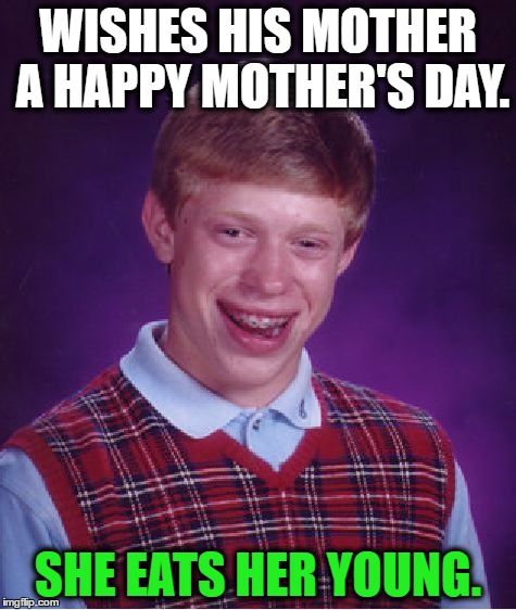Bad Luck Brian. Mother's Day. | WISHES HIS MOTHER A HAPPY MOTHER'S DAY. SHE EATS HER YOUNG. | image tagged in memes,bad luck brian,funny,mother's day | made w/ Imgflip meme maker