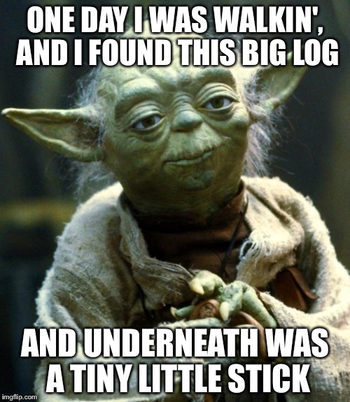 Star Wars Yoda Meme | ONE DAY I WAS WALKIN', AND I FOUND THIS BIG LOG AND UNDERNEATH WAS A TINY LITTLE STICK | image tagged in memes,star wars yoda | made w/ Imgflip meme maker