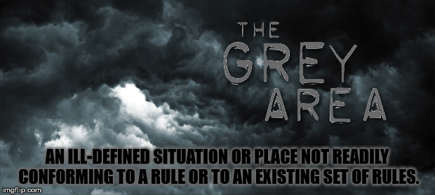 The Grey Area | AN ILL-DEFINED SITUATION OR PLACE NOT READILY CONFORMING TO A RULE OR TO AN EXISTING SET OF RULES. | image tagged in the grey area | made w/ Imgflip meme maker