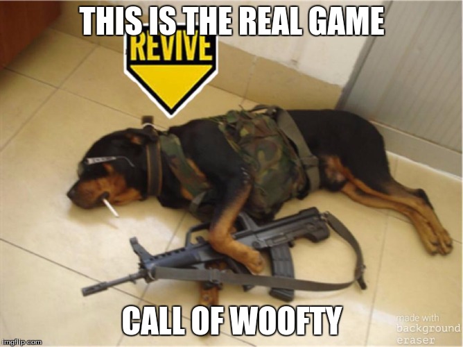 The dog wars | THIS IS THE REAL GAME; CALL OF WOOFTY | image tagged in call of duty | made w/ Imgflip meme maker