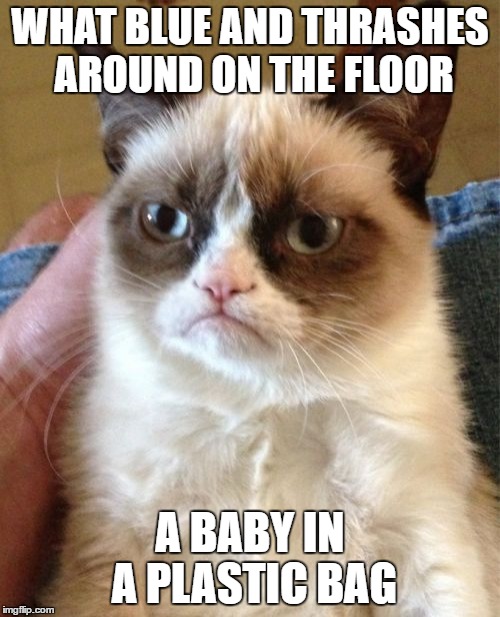 Grumpy_Cat: Baby_in_a_Plastic_Bag | WHAT BLUE AND THRASHES AROUND ON THE FLOOR; A BABY IN A PLASTIC BAG | image tagged in memes,grumpy cat,baby,animals,funny,funny memes | made w/ Imgflip meme maker