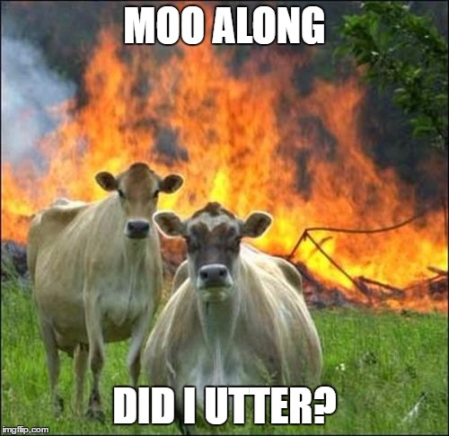Evil Cows | MOO ALONG; DID I UTTER? | image tagged in memes,evil cows | made w/ Imgflip meme maker