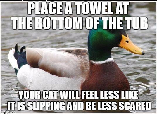 Actual Advice Mallard | PLACE A TOWEL AT THE BOTTOM OF THE TUB; YOUR CAT WILL FEEL LESS LIKE IT IS SLIPPING AND BE LESS SCARED | image tagged in memes,actual advice mallard,AdviceAnimals | made w/ Imgflip meme maker