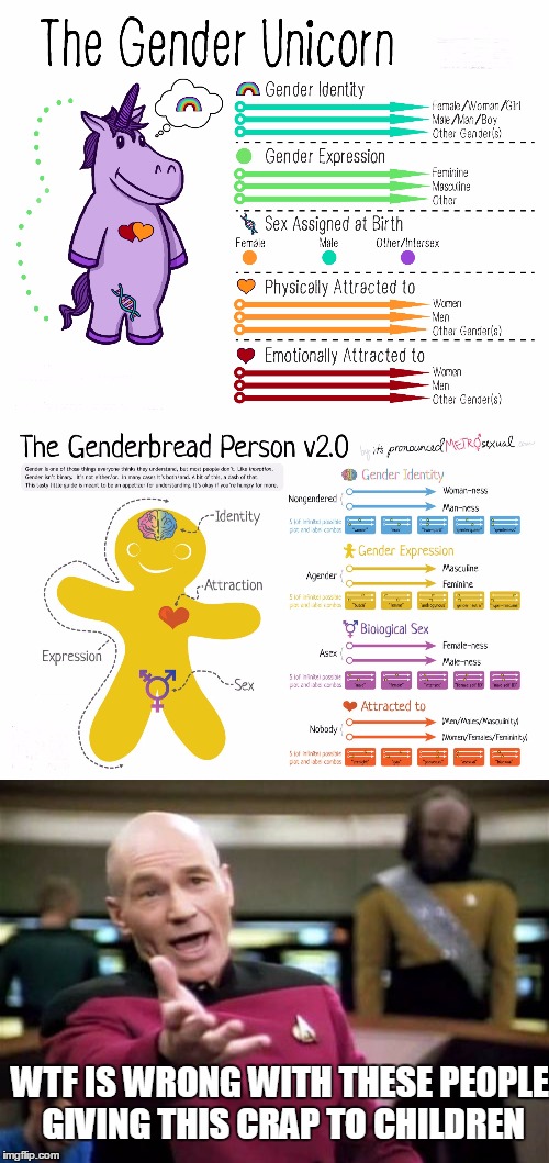 They give these to children in government schools even without their parents consent | WTF IS WRONG WITH THESE PEOPLE GIVING THIS CRAP TO CHILDREN | image tagged in picard wtf,gender confusion,gender unicorn,genderbread person,memes | made w/ Imgflip meme maker