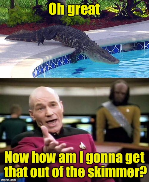 Pool cleaner nightmares | Oh great; Now how am I gonna get that out of the skimmer? | image tagged in pool,memes | made w/ Imgflip meme maker