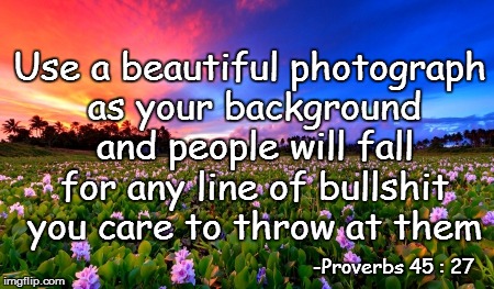 -Proverbs 45 : 27 Use a beautiful photograph as your background and people will fall for any line of bullshit you care to throw at them | made w/ Imgflip meme maker