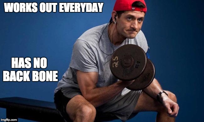 Check. Balance. Do your job. | WORKS OUT EVERYDAY; HAS NO BACK BONE | image tagged in cowardly ryan,paul ryan | made w/ Imgflip meme maker