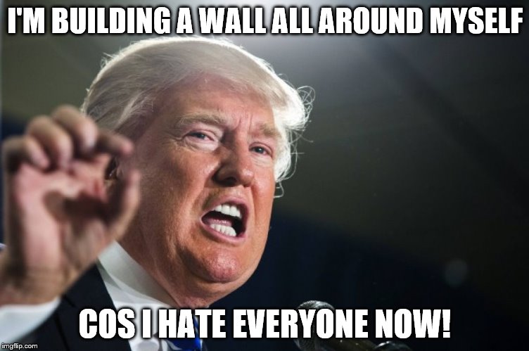 donald trump | I'M BUILDING A WALL ALL AROUND MYSELF; COS I HATE EVERYONE NOW! | image tagged in donald trump | made w/ Imgflip meme maker