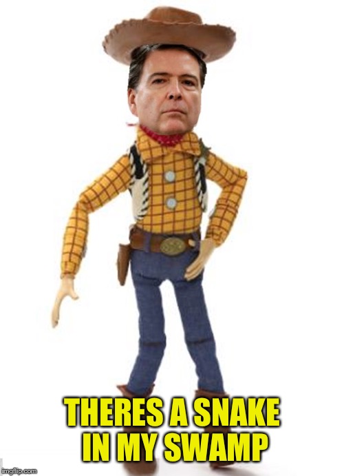 Comey helps drain the swamp. | THERES A SNAKE IN MY SWAMP | image tagged in james woody comey,fbi investigation,toy story,funny memes,trevor noah | made w/ Imgflip meme maker