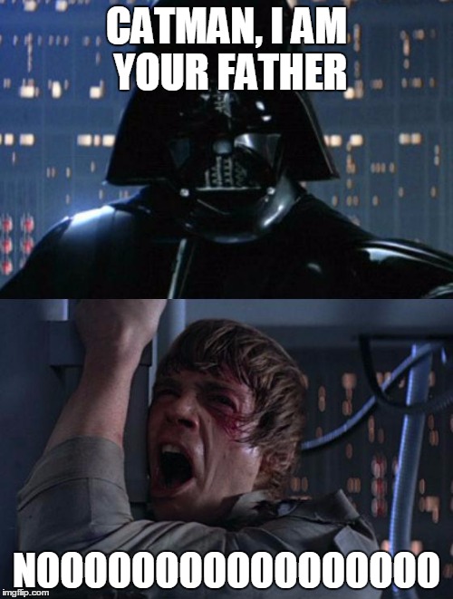 "I am your father" | CATMAN, I AM YOUR FATHER; NOOOOOOOOOOOOOOOOO | image tagged in i am your father | made w/ Imgflip meme maker