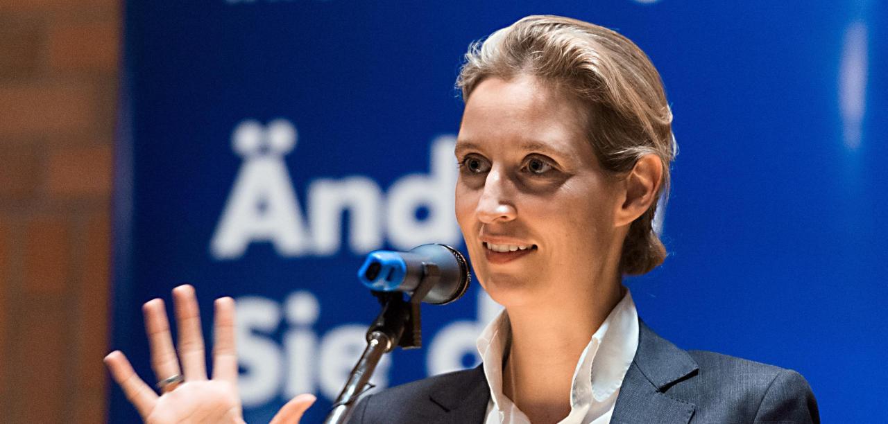 AFD Alice Weidel Blank Meme Template