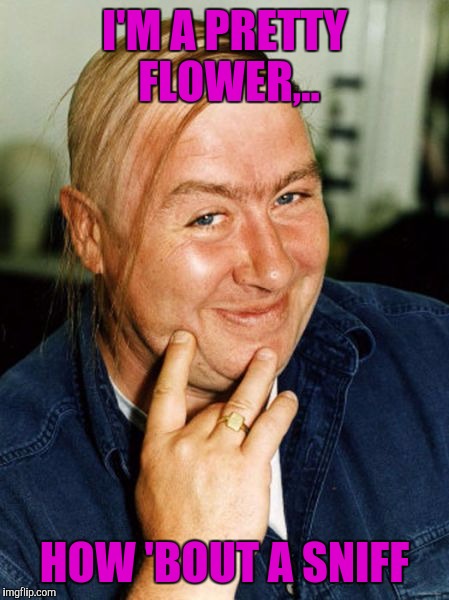 I'M A PRETTY FLOWER,.. HOW 'BOUT A SNIFF | made w/ Imgflip meme maker