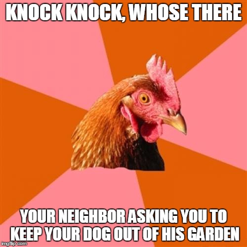 Anti Joke Chicken Meme | KNOCK KNOCK, WHOSE THERE; YOUR NEIGHBOR ASKING YOU TO KEEP YOUR DOG OUT OF HIS GARDEN | image tagged in memes,anti joke chicken | made w/ Imgflip meme maker