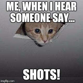 SHOTS! | ME, WHEN I HEAR SOMEONE SAY... SHOTS! | image tagged in memes,ceiling cat,funny,meme,too funny,funny meme | made w/ Imgflip meme maker