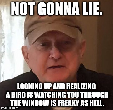 NOT GONNA LIE. LOOKING UP AND REALIZING A BIRD IS WATCHING YOU THROUGH THE WINDOW IS FREAKY AS HELL. | made w/ Imgflip meme maker