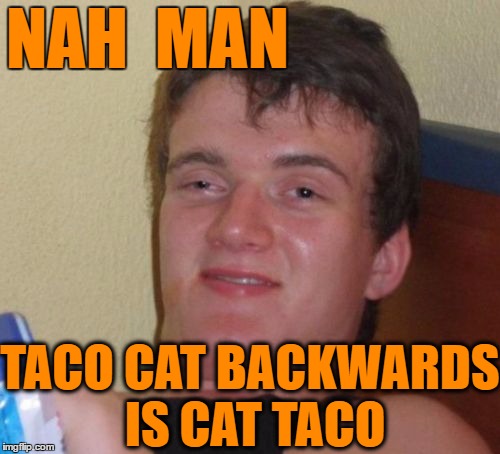 10 Guy Meme | NAH  MAN TACO CAT BACKWARDS IS CAT TACO | image tagged in memes,10 guy | made w/ Imgflip meme maker