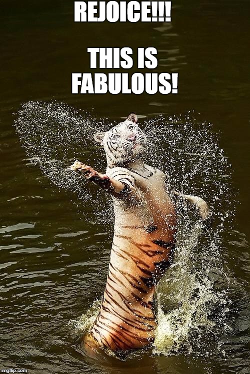 Fabulous Tiger | REJOICE!!! THIS IS FABULOUS! | image tagged in fabulous tiger | made w/ Imgflip meme maker