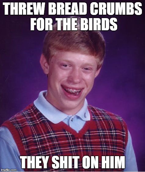 Bad Luck Brian Meme | THREW BREAD CRUMBS FOR THE BIRDS; THEY SHIT ON HIM | image tagged in memes,bad luck brian | made w/ Imgflip meme maker