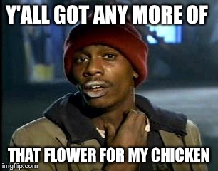 Y'all Got Any More Of That | Y'ALL GOT ANY MORE OF; THAT FLOWER FOR MY CHICKEN | image tagged in memes,yall got any more of | made w/ Imgflip meme maker