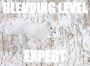 BLENDING LEVEL EXPERT | made w/ Imgflip meme maker
