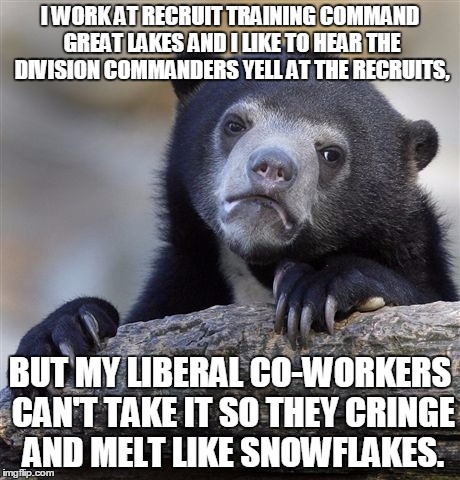 Confession Bear Meme | I WORK AT RECRUIT TRAINING COMMAND GREAT LAKES AND I LIKE TO HEAR THE DIVISION COMMANDERS YELL AT THE RECRUITS, BUT MY LIBERAL CO-WORKERS CAN'T TAKE IT SO THEY CRINGE AND MELT LIKE SNOWFLAKES. | image tagged in memes,confession bear | made w/ Imgflip meme maker