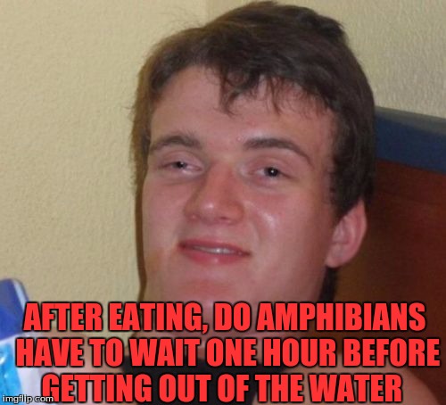 Amphibians Have It Good  | AFTER EATING, DO AMPHIBIANS HAVE TO WAIT ONE HOUR BEFORE GETTING OUT OF THE WATER | image tagged in memes,10 guy | made w/ Imgflip meme maker