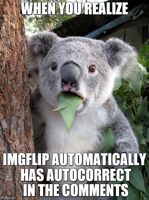 yay! now I won't look like an idiot with all my typos | WHEN YOU REALIZE; IMGFLIP AUTOMATICALLY HAS AUTOCORRECT IN THE COMMENTS | image tagged in memes,surprised koala | made w/ Imgflip meme maker