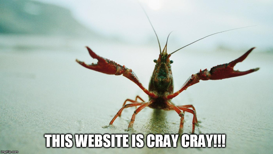 My bad pun of the day. ;-) | THIS WEBSITE IS CRAY CRAY!!! | image tagged in cray cray fish,memes,imgflip | made w/ Imgflip meme maker