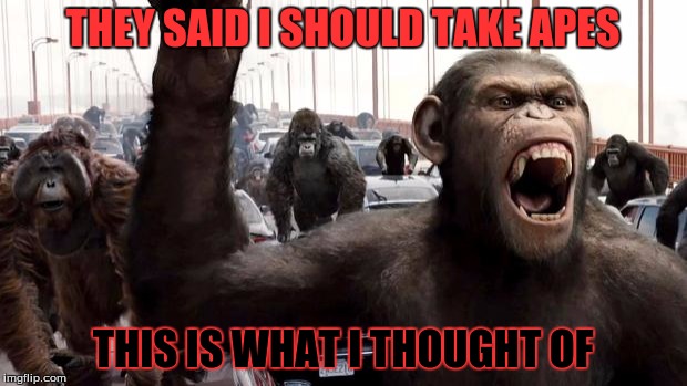 Planet of the apes | THEY SAID I SHOULD TAKE APES; THIS IS WHAT I THOUGHT OF | image tagged in planet of the apes | made w/ Imgflip meme maker