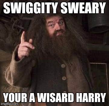 hagrid  | SWIGGITY SWEARY; YOUR A WISARD HARRY | image tagged in hagrid | made w/ Imgflip meme maker