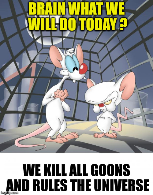 Pinky and the brain | BRAIN WHAT WE WILL DO TODAY ? WE KILL ALL GOONS AND RULES THE UNIVERSE | image tagged in pinky and the brain | made w/ Imgflip meme maker