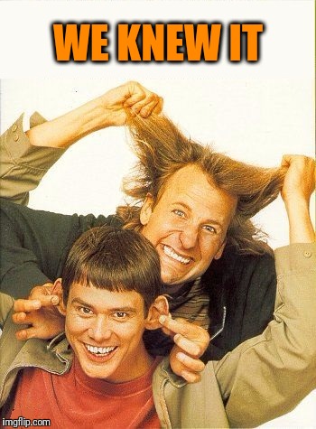DUMB and dumber | WE KNEW IT | image tagged in dumb and dumber | made w/ Imgflip meme maker