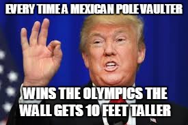 BUILD THE WALL!!!!! | EVERY TIME A MEXICAN POLE VAULTER; WINS THE OLYMPICS THE WALL GETS 10 FEET TALLER | image tagged in trump meme,trump card,mexico,wall | made w/ Imgflip meme maker