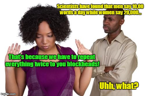 couples | Scientists have found that men say 10,00 words a day while women say 20,000... That's because we have to repeat everything twice to you blockheads! Uhh, what? | image tagged in couples | made w/ Imgflip meme maker