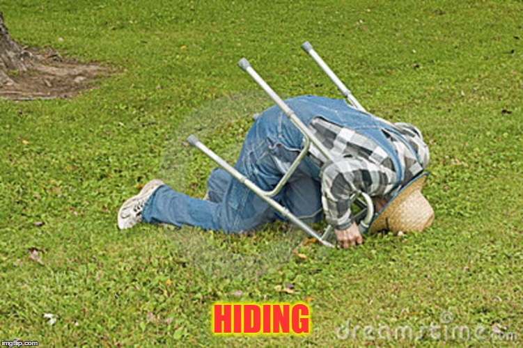 HIDING | made w/ Imgflip meme maker