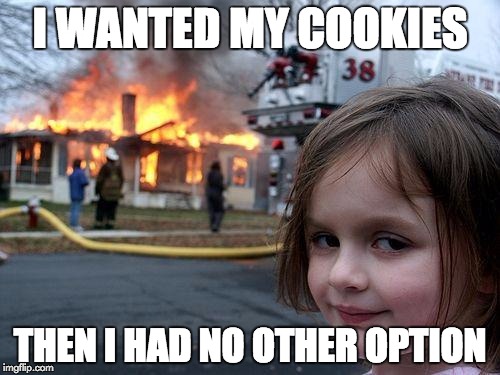 Disaster Girl | I WANTED MY COOKIES; THEN I HAD NO OTHER OPTION | image tagged in memes,disaster girl | made w/ Imgflip meme maker