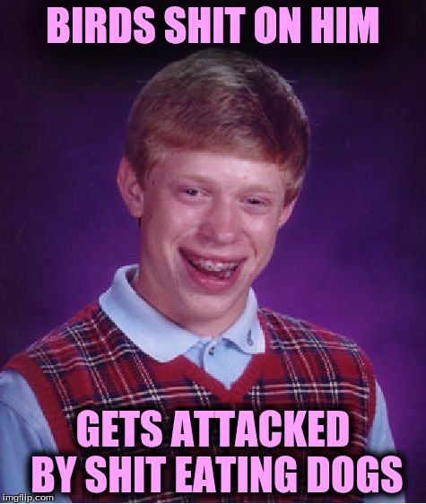 Bad Luck Brian Meme | BIRDS SHIT ON HIM GETS ATTACKED BY SHIT EATING DOGS | image tagged in memes,bad luck brian | made w/ Imgflip meme maker