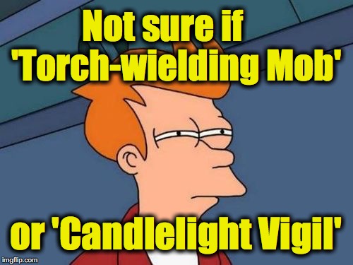 Futurama Fry | Not sure if    'Torch-wielding Mob'; or 'Candlelight Vigil' | image tagged in futurama fry | made w/ Imgflip meme maker