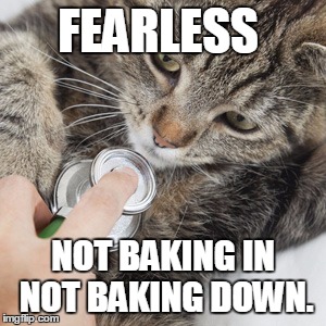 FEARLESS; NOT BAKING IN NOT BAKING DOWN. | image tagged in cat | made w/ Imgflip meme maker