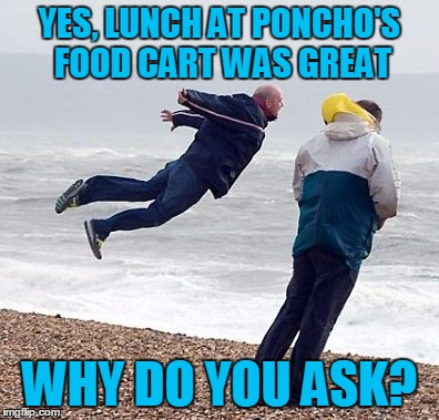 YES, LUNCH AT PONCHO'S FOOD CART WAS GREAT WHY DO YOU ASK? | made w/ Imgflip meme maker