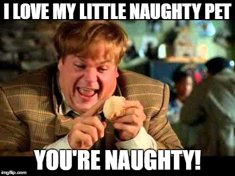 Chris farley | I LOVE MY LITTLE NAUGHTY PET; YOU'RE NAUGHTY! | image tagged in chris farley | made w/ Imgflip meme maker