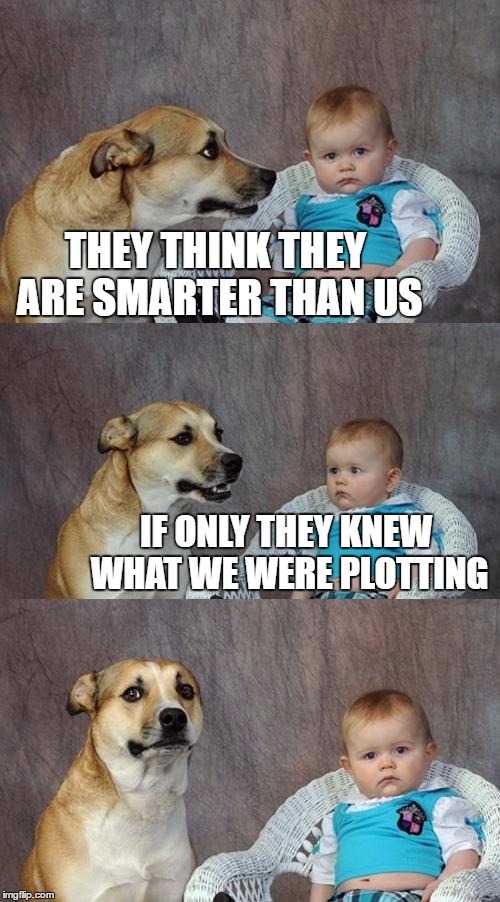 Dad Joke Dog | THEY THINK THEY ARE SMARTER THAN US; IF ONLY THEY KNEW WHAT WE WERE PLOTTING | image tagged in memes,dad joke dog | made w/ Imgflip meme maker