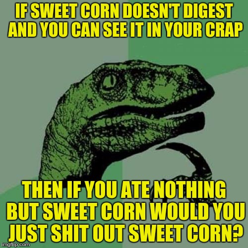 Philosoraptor | IF SWEET CORN DOESN'T DIGEST AND YOU CAN SEE IT IN YOUR CRAP; THEN IF YOU ATE NOTHING BUT SWEET CORN WOULD YOU JUST SHIT OUT SWEET CORN? | image tagged in memes,philosoraptor,sweet corn,crap,shit | made w/ Imgflip meme maker