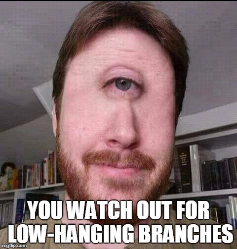 YOU WATCH OUT FOR LOW-HANGING BRANCHES | made w/ Imgflip meme maker