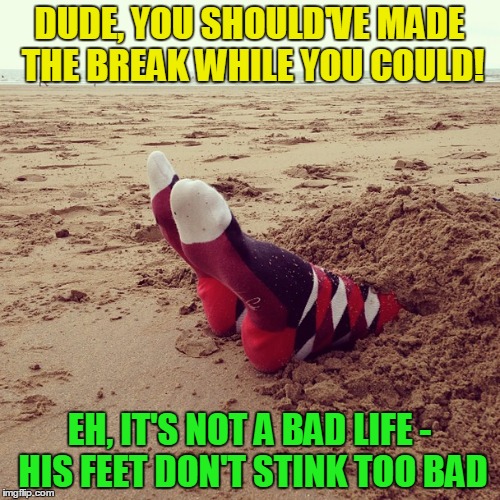 DUDE, YOU SHOULD'VE MADE THE BREAK WHILE YOU COULD! EH, IT'S NOT A BAD LIFE - HIS FEET DON'T STINK TOO BAD | made w/ Imgflip meme maker