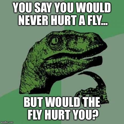 Buzzzzzzzzzzzzzzzzzzzzzzzzzzzzz | YOU SAY YOU WOULD NEVER HURT A FLY... BUT WOULD THE FLY HURT YOU? | image tagged in memes,philosoraptor,flies | made w/ Imgflip meme maker