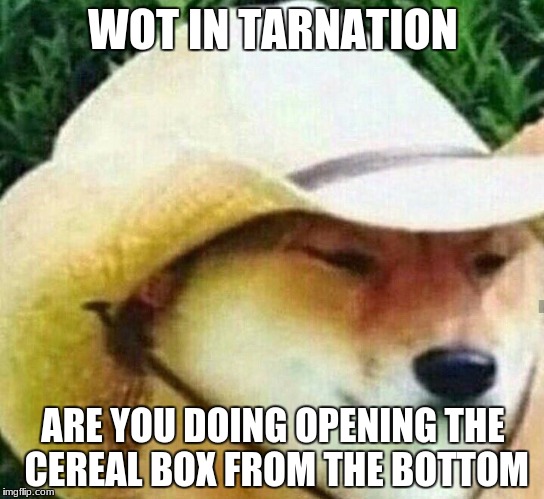 What in tarnation | WOT IN TARNATION; ARE YOU DOING OPENING THE CEREAL BOX FROM THE BOTTOM | image tagged in what in tarnation | made w/ Imgflip meme maker