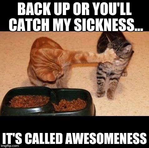 cats share food | BACK UP OR YOU'LL CATCH MY SICKNESS... IT'S CALLED AWESOMENESS | image tagged in cats share food | made w/ Imgflip meme maker